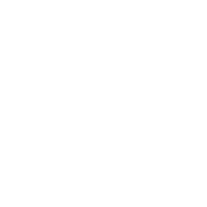 Rivo Real Estate logo 2